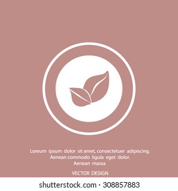 leaf Vector illustration. Eco sign.