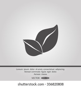 leaf Vector illustration. Eco sign.