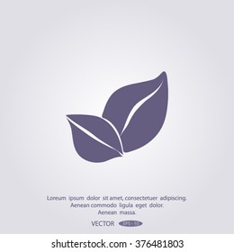 leaf Vector illustration. Eco sign.