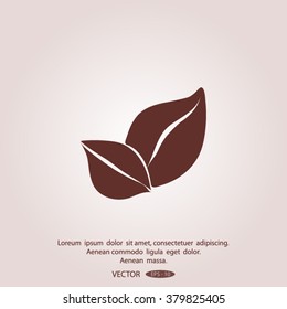 leaf Vector illustration. Eco sign.