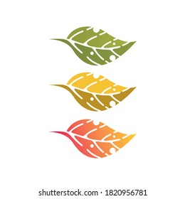 Leaf vector illustration in a flat and simple design style that can be used as material in any design project
