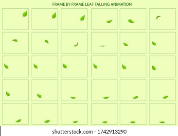 Leaf vector Illustration, with Frame by Frame Animation For 2D Animation video, Info-graphics, Motion-graphics