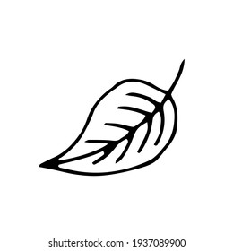Leaf. Vector illustration. Freehand drawing. Doodle. Black and white outline. Silhouette. Coloring.