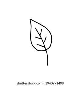 Leaf. Vector illustration. Freehand drawing. Doodle. Black and white outline. Silhouette. Coloring.