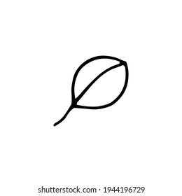 Leaf. Vector illustration. Freehand drawing. Doodle. Black and white outline. Silhouette. Coloring.