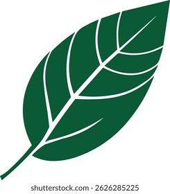 Ilustración vectorial de la hoja, hoja verde aislada en el fondo blanco