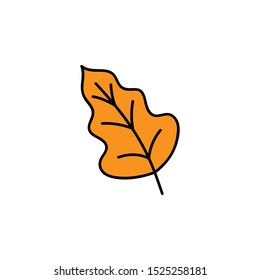 Leaf vector illustration. Hand drawn cute autumn orange oak leaf. Isolated cartoon graphic icon.