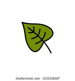Leaf vector illustration. Hand drawn cute autumn green linden, lime leaf. Isolated cartoon graphic icon.