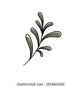 leaf vector illustration.  Hand drawn colorful sketch of leaves isolated on white background. 
