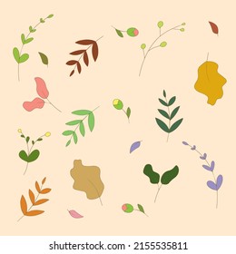 Leaf vector illustration and icon for decoration	