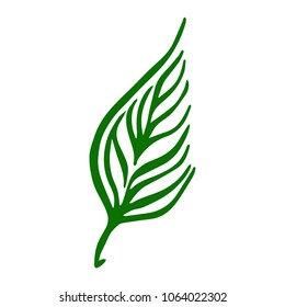 Leaf vector illustration. Ink drawn herbal in sketch style for print, card, wrapping, textile and other vintage design.