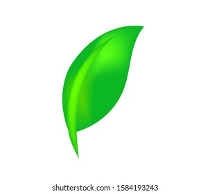 leaf vector illustration, leaf logo design template