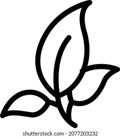 ilustración del vector hoja en un fondo transparente. Símbolos de calidad premium. Icono vectorial de trazo para el concepto y diseño gráfico.