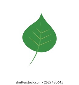 Leaf Vector Illustration | Premium Vector for Eco Environment 