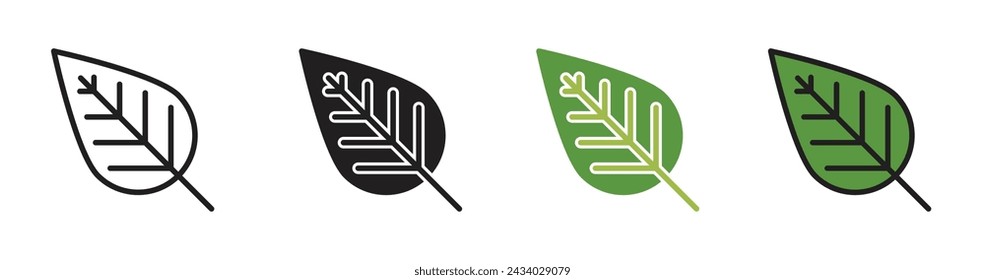Leaf Vector Illustration Set. Plant Leaf Life Sign suitable for apps and websites UI design style.