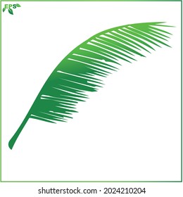 leaf vector illustration, tropical leaf flat design concept