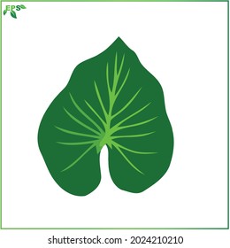 leaf vector illustration, tropical leaf flat design concept