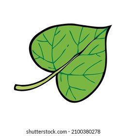 leaf vector illustration,isolated on white background,top view
