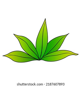 leaf vector illustration,isolated on white background,top view