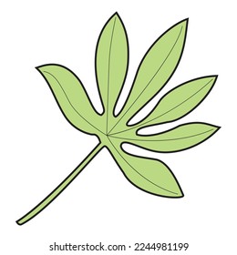 leaf vector illustration,isolated on white background,top view