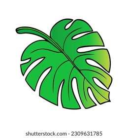 leaf vector illustration,isolated on white background,top view