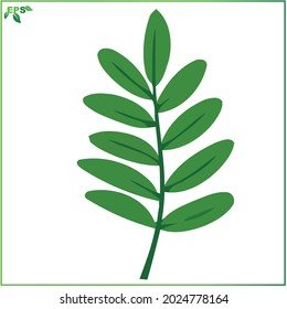leaf vector illustrations, tropical leaves with flat design concept