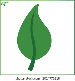 leaf vector illustrations, tropical leaves with flat design concept