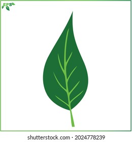 leaf vector illustrations, tropical leaves with flat design concept