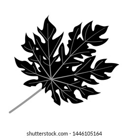  leaf vector image detail bw