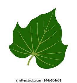  leaf vector image detail colour