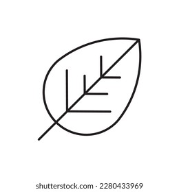 Leaf vector line icon. Leaf flat sign design. Leaf symbol isolated pictogram. UX UI icon of leave. Linear icon outline symbol