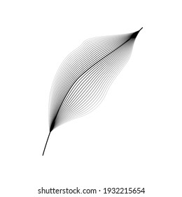 Leaf Vector. linear Colorful logo
