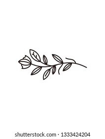 leaf vector logo