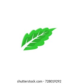 leaf vector logo