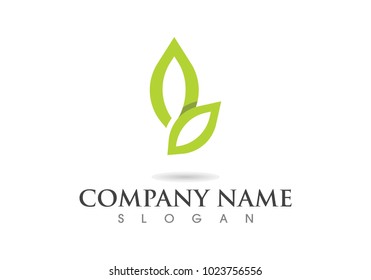 leaf vector logo design, eco-friendly concept