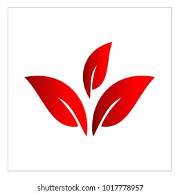 leaf vector logo design template