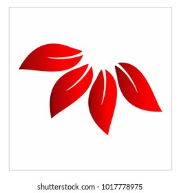 leaf vector logo design template