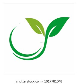 leaf vector logo design template