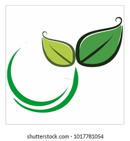 leaf vector logo design template