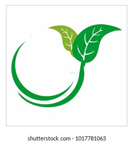 leaf vector logo design template