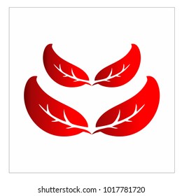 leaf vector logo design template
