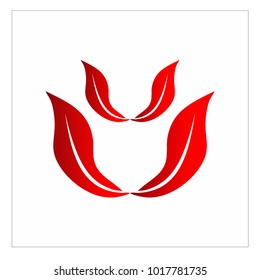 leaf vector logo design template