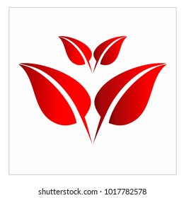 leaf vector logo design template