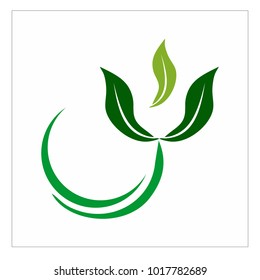 leaf vector logo design template