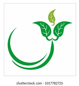 leaf vector logo design template