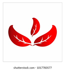 leaf vector logo design template
