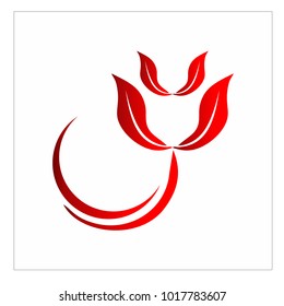 leaf vector logo design template