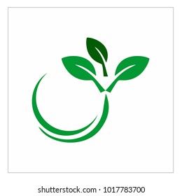 leaf vector logo design template