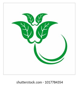 leaf vector logo design template