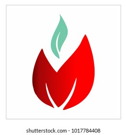 leaf vector logo design template